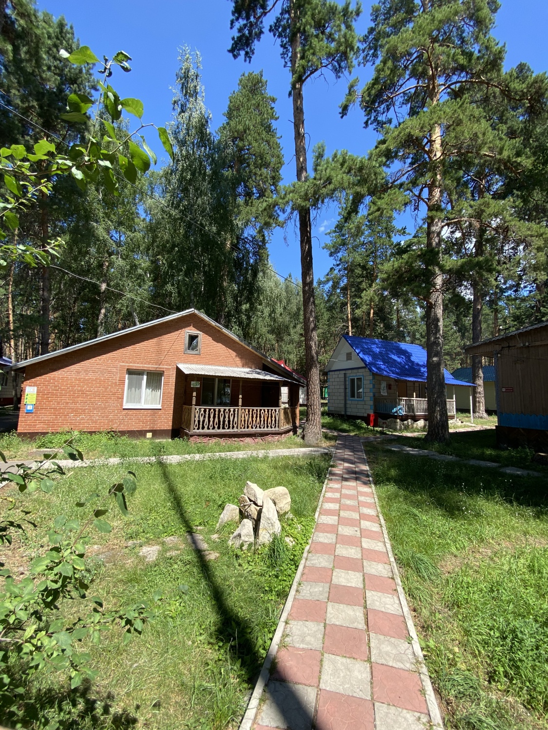 База отдыха в лесу: полное единение с природой фото №10